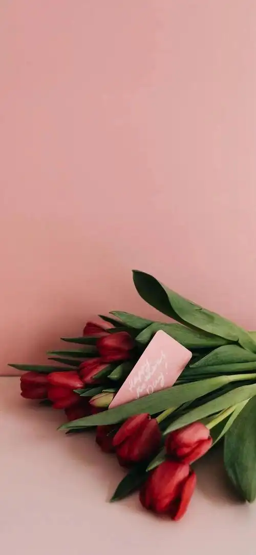 全面屏手机壁纸丨好看的人随便一拍就是头像难看的人随便一拍就是搞笑