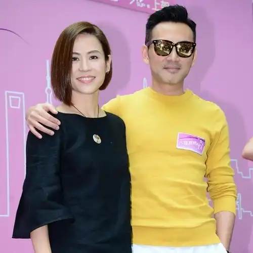 ◤宣萱嫁不出竟是因为◢曾经爱过张卫健还差点嫁进豪门做少奶奶网民