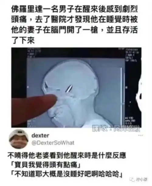 国外的沙雕新闻有多搞笑哈哈哈哈哈简直离了个大谱