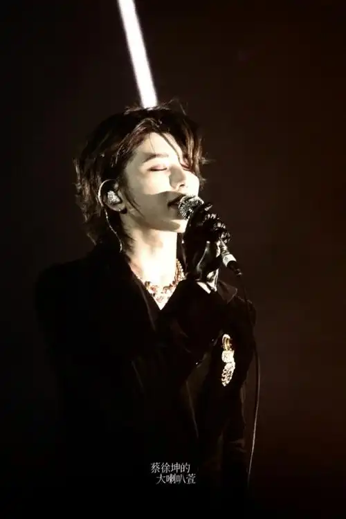 蔡徐坤吉隆坡演唱会