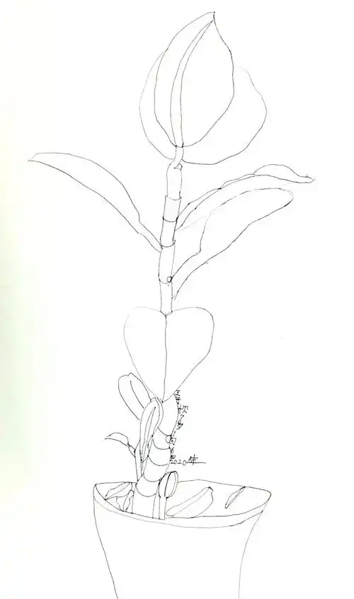 绘画记录成长——王子欣的斑马美术世界