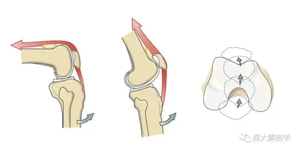 楼梯的坡度在23°-45°之间,每一阶宽度约25-32厘米,高度一般为14-18