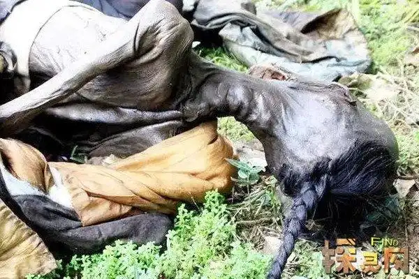 府南河僵尸事件,河水中惊现被烧死僵尸(真实性待考证)