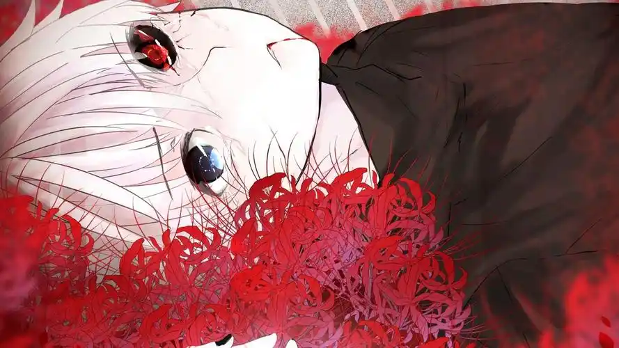 东京喰种白发男主金木研