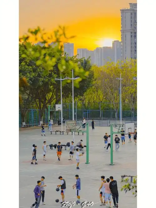 西政校园镜头夕阳下的篮球场蔷薇花开啦