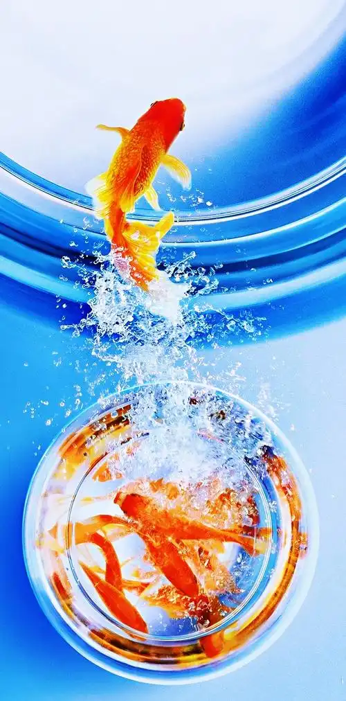 壁纸:年年有余(鱼)