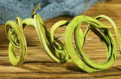 但肝火旺盛则不宜服用,《草药新编》中就曾记载过"回春草补肾之要药