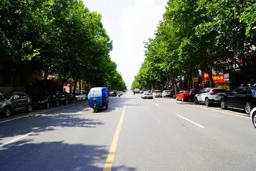 灾后恢复郑州全面启动洪涝后消杀工作确保人民群众健康生活