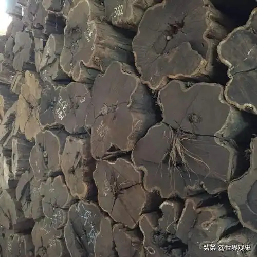 世界最贵的十种木材!