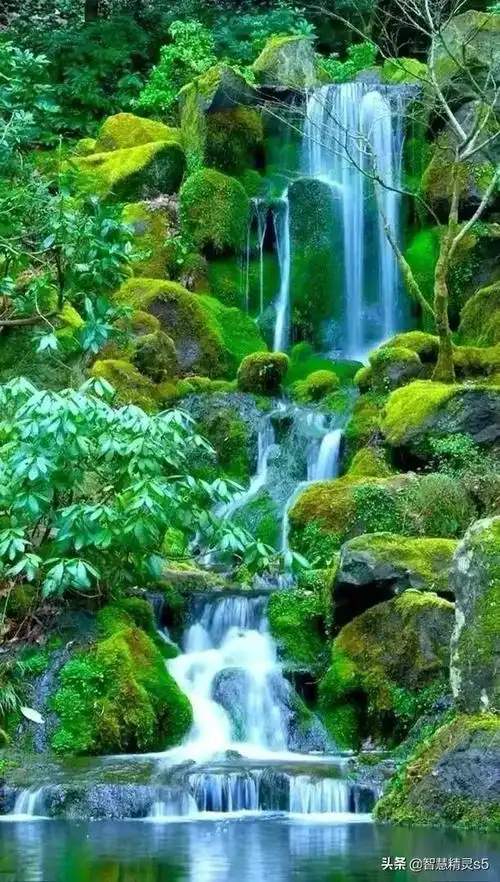 山清水秀造句,山清水秀造句大全(山清水秀,风景优美如画)