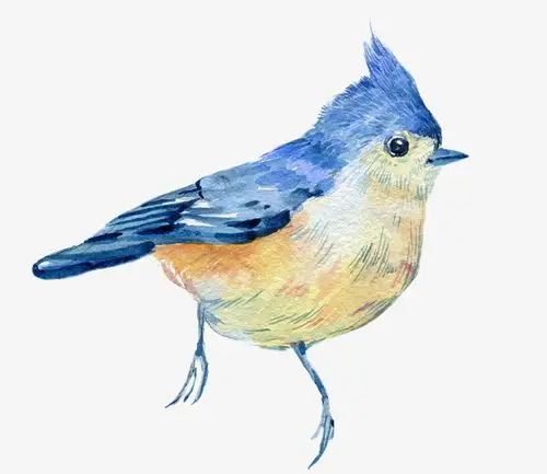 卡通手绘飞翔的小鸟