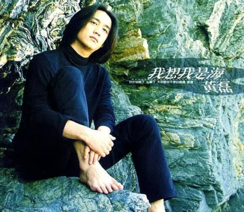 黄磊诠释高智商:前半生靠颜值 后半生靠脑子