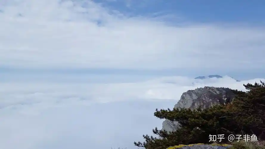 你手机里记录春天最美的照片有吗?