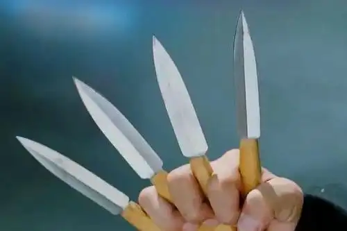 星爷的在这部电影里的飞刀真是出神入化  几下解决