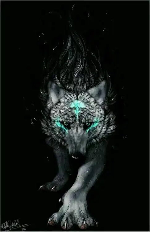 狼图片,进来不后悔