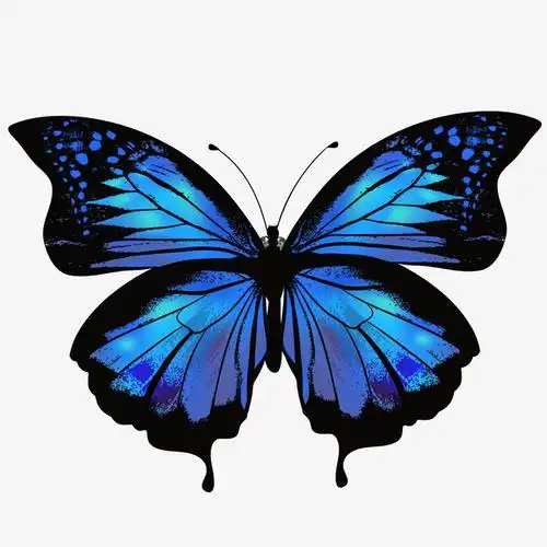 关键词 : 手绘,蝴蝶,蓝色[声明] 觅元素所有素材为用户免费分享产生