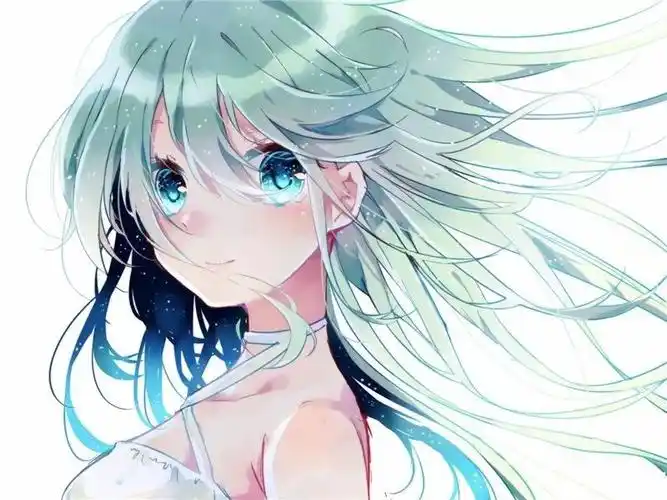 【动漫壁纸】绿毛特辑 赏析