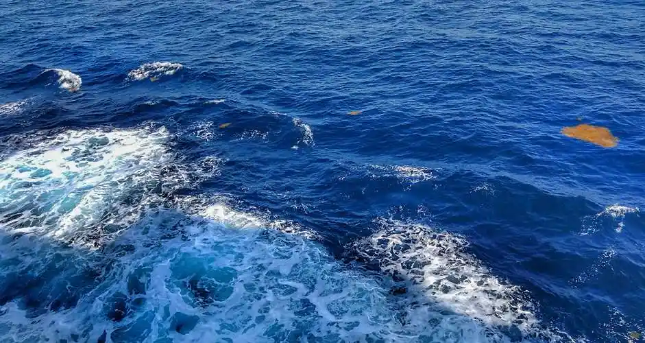 【游玩日本】坐着邮轮去看大海