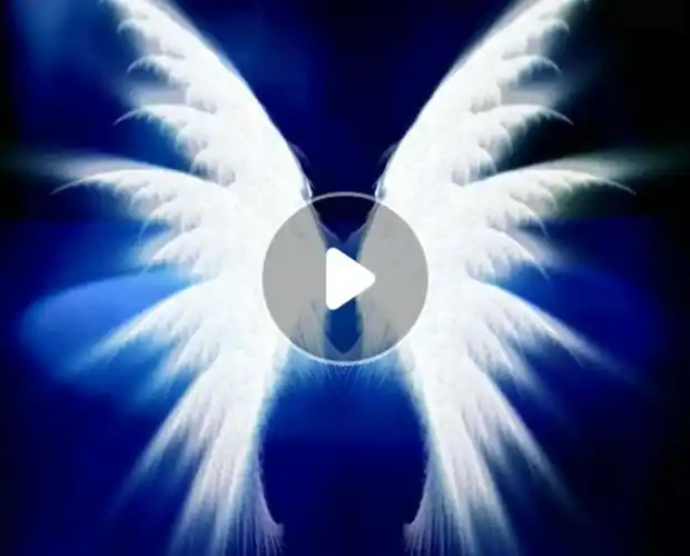 高清翅膀背景3d全息投影素材夢幻開場視頻婚慶led舞臺led大屏視頻