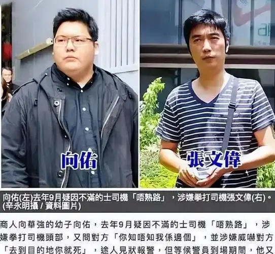 同父不同命的向佑为何成为"豪门弃子"|向太|向佐|丁佩|向华强|李小龙