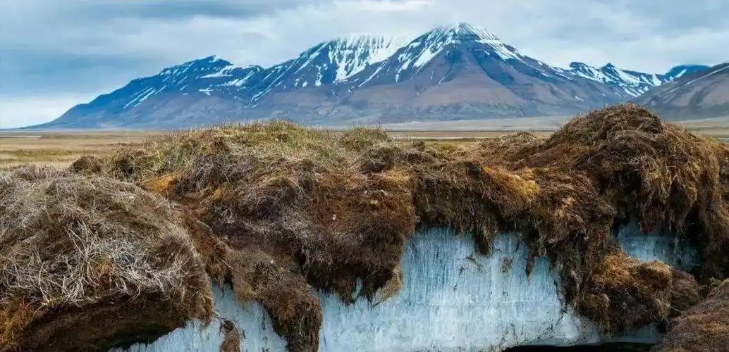 【科学强国】48500年前冻土层里的病毒被复活后,还能造成感染|俄罗斯