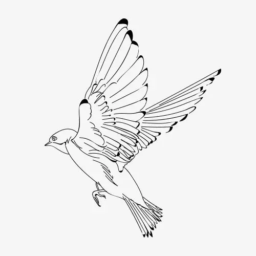 线条手绘飞鸟装饰