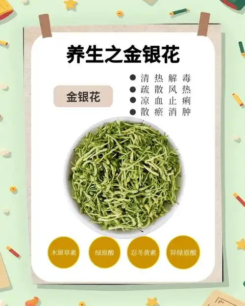 冬季养生必备:金银花的神奇功效与用法