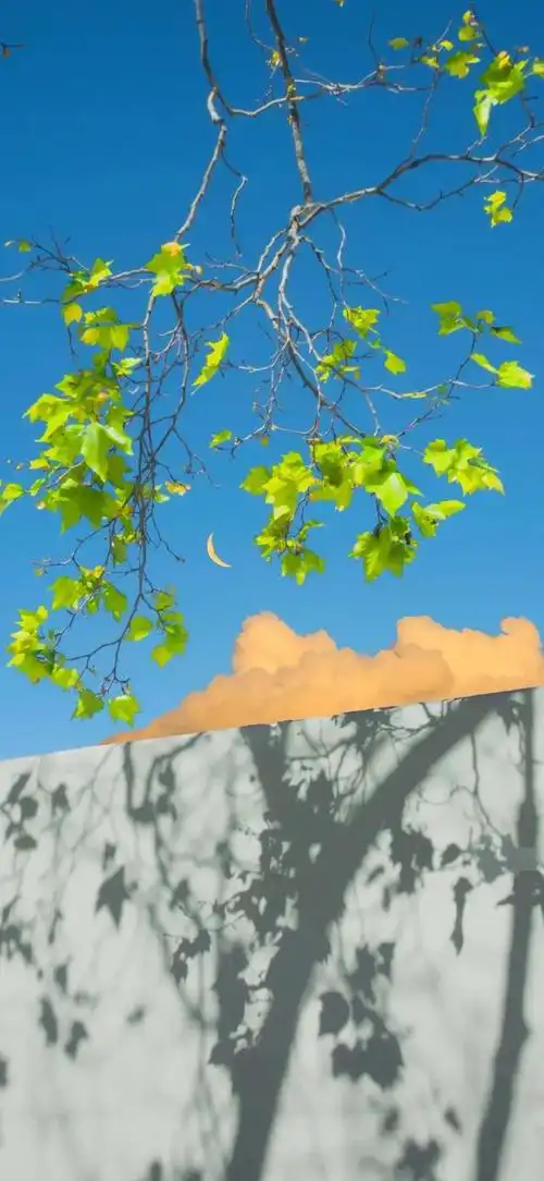 夏日小清新唯美治愈风景图,夏季清新唯美图片(夏日清新壁纸)