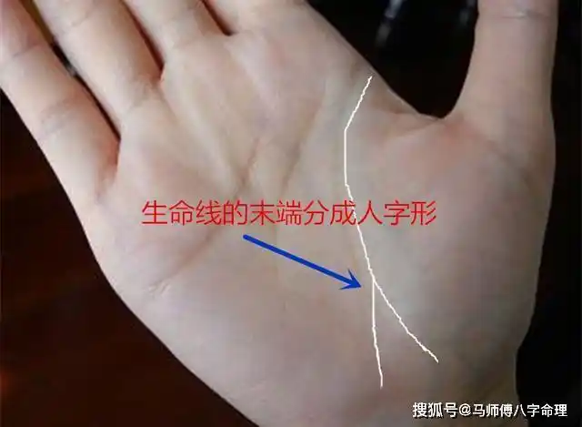 生命线短寿命就短吗生命线应该怎样看