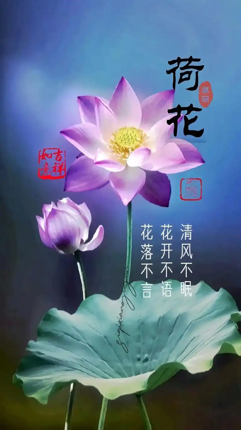 荷你相遇 荷其有幸 荷等美好 #荷花 #手机壁纸 #抖音图文 - 抖音