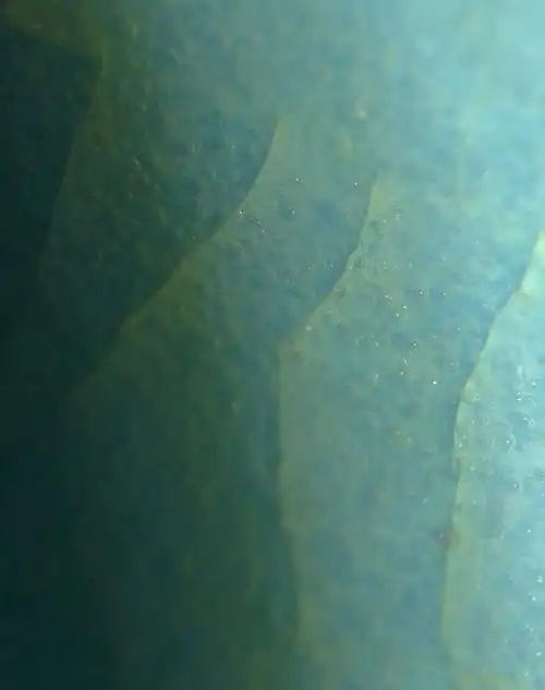 宏观定年代微观鉴新老之汝窑三羊尊