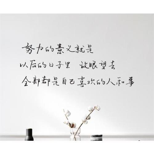 努力的意义 手写文艺ins风励志句子卧室书房客厅装饰墙贴纸【15天内