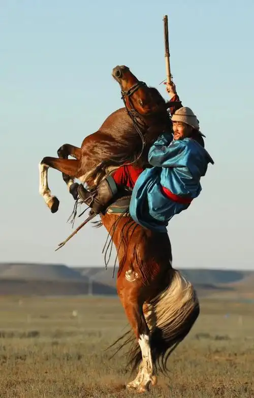 《天净沙横刀立马》
