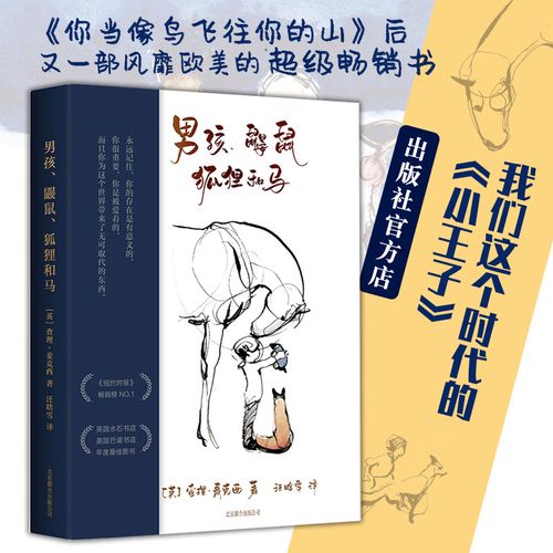 联合出版精装正版美队推荐当代小王子你当像鸟飞往你的山新经典畅销书
