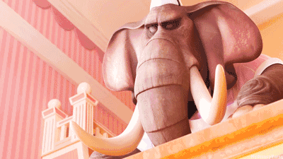 疯狂动物城拿了奥斯卡去非洲拜访这些萌物们