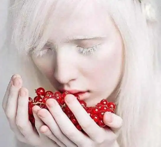 白化病妹子浑身的毛发都是白的,她睁眼的瞬间,空气仿佛静止了