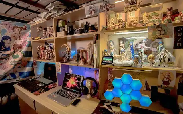 满墙的手办,宅男的天堂