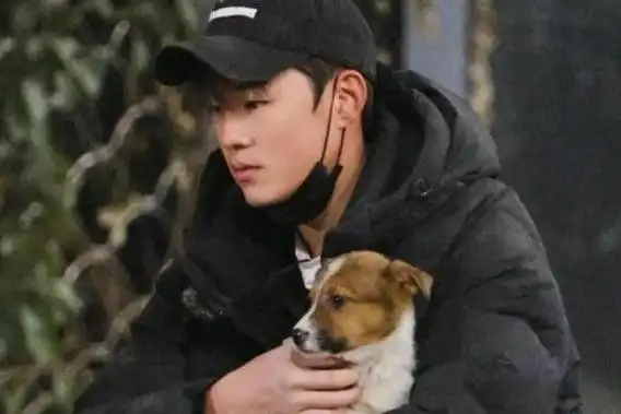 tom明星_明星新闻_明星八卦