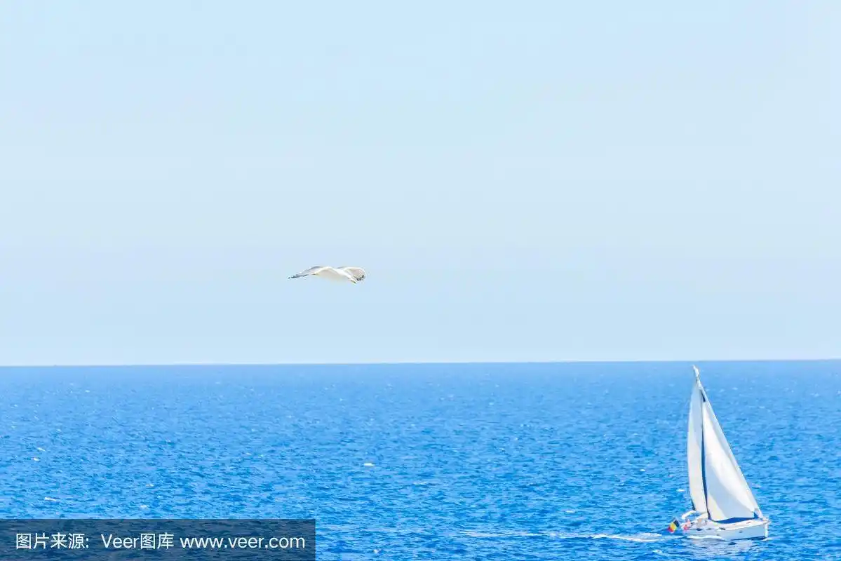 海鸥在蓝天中飞翔,帆船在大海中航行,扬帆远航
