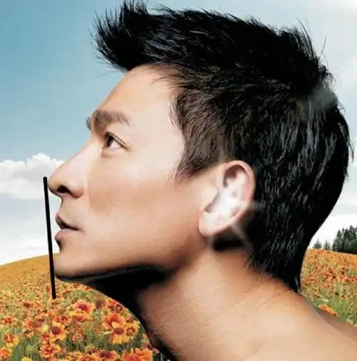 看刘德华的这一张侧颜照,简直是太帅了.