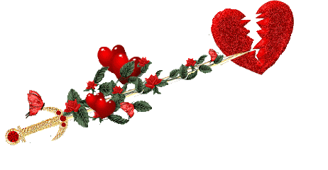 摄影 动态植物 风景 花朵 闪图闪字 .