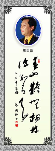 海报印制209海报展板素材(制作)2315名人书法头像唐国强