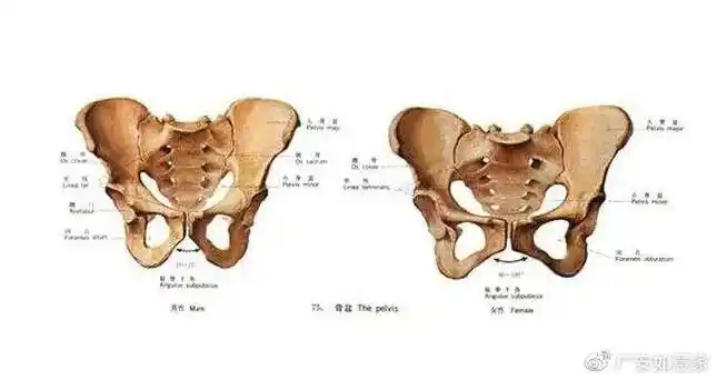 广安如意家:产后骨盆不恢复,毁了身材,更毁了健康!