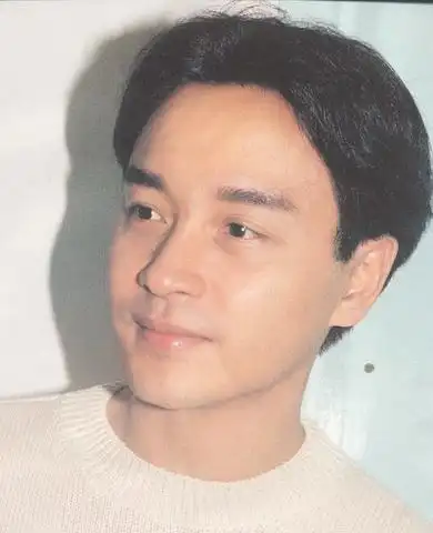 图张国荣追歌词解析哥哥因得抑郁症而自杀