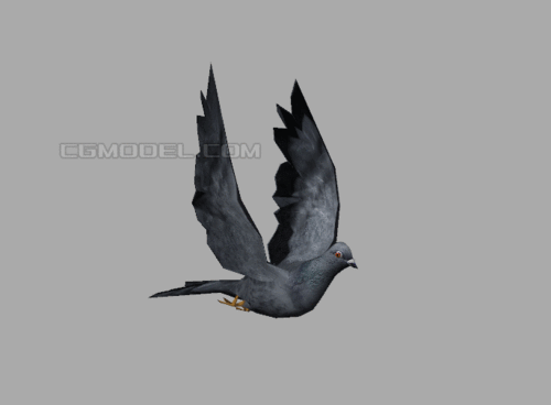 飞鸽信鸽和平鸽野鸽子鸟类模型带飞行滑翔动作