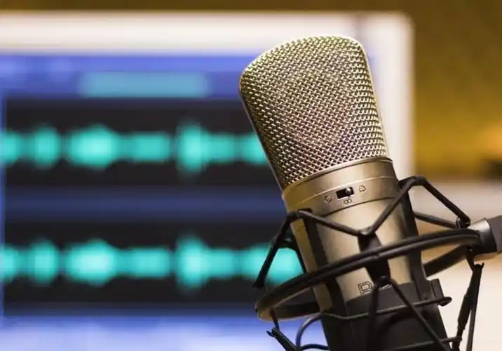 英国十大高薪自由职业 配音演员收入多_影视工业网-幕后英雄app