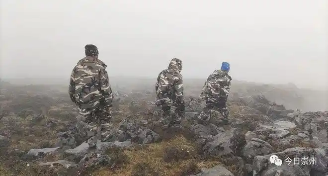 7天6夜8人穿越无人区他们带回这些好消息