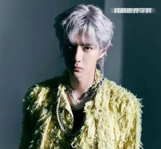 网友给王一博p的发型