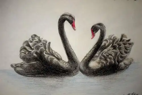 十年后的黑天鹅