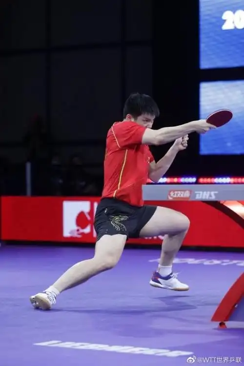 赢了樊振东世乒赛男单夺冠40横扫19岁瑞典黑马选手2